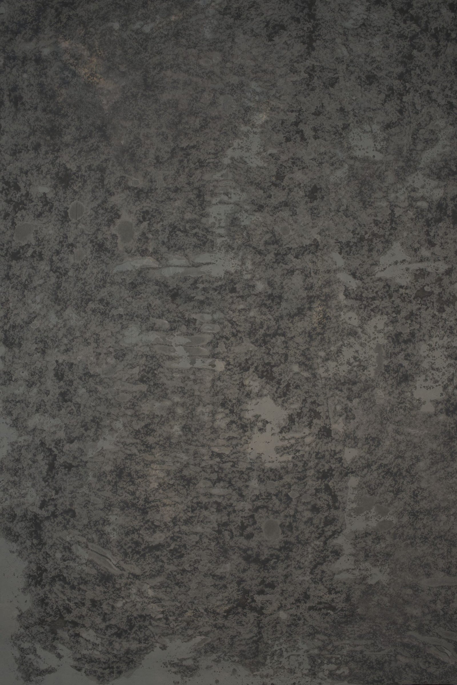 13884 Greenish Grey Strong Text ST
