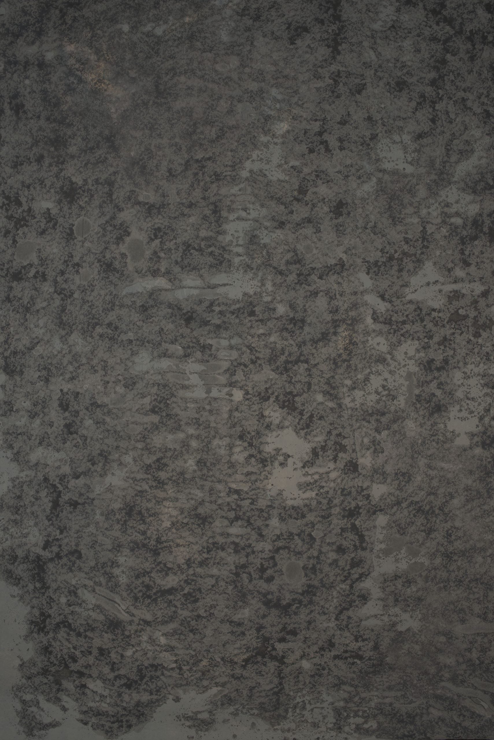 13884 Greenish Grey Strong Text ST