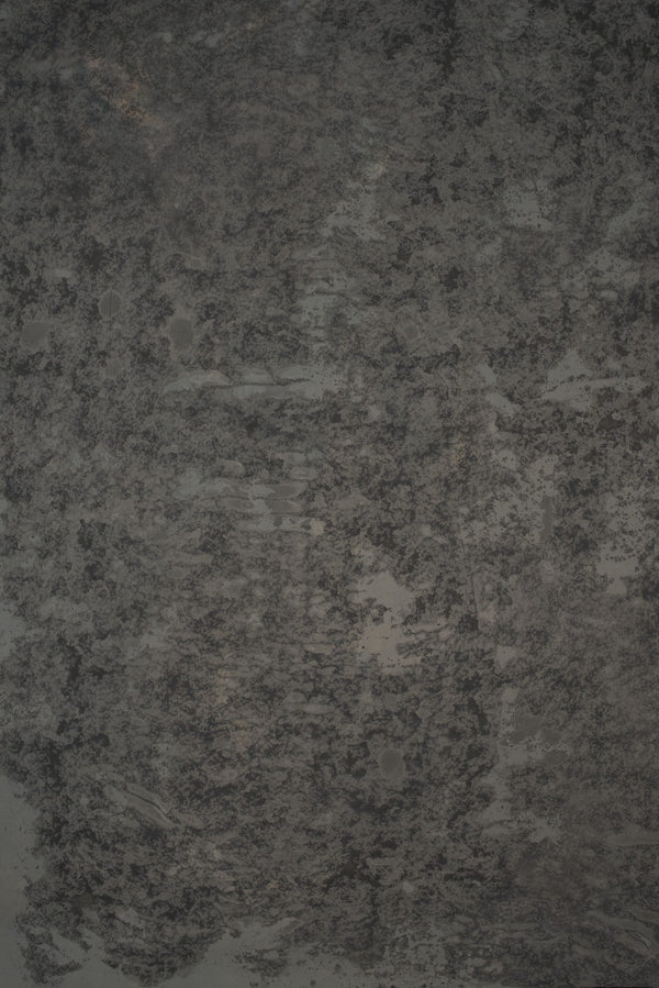 13884 Greenish Grey Strong Text ST