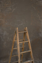 13899 Warm Grey Mid Text ST