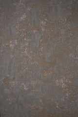 13901 Warm Grey Strong Text ST