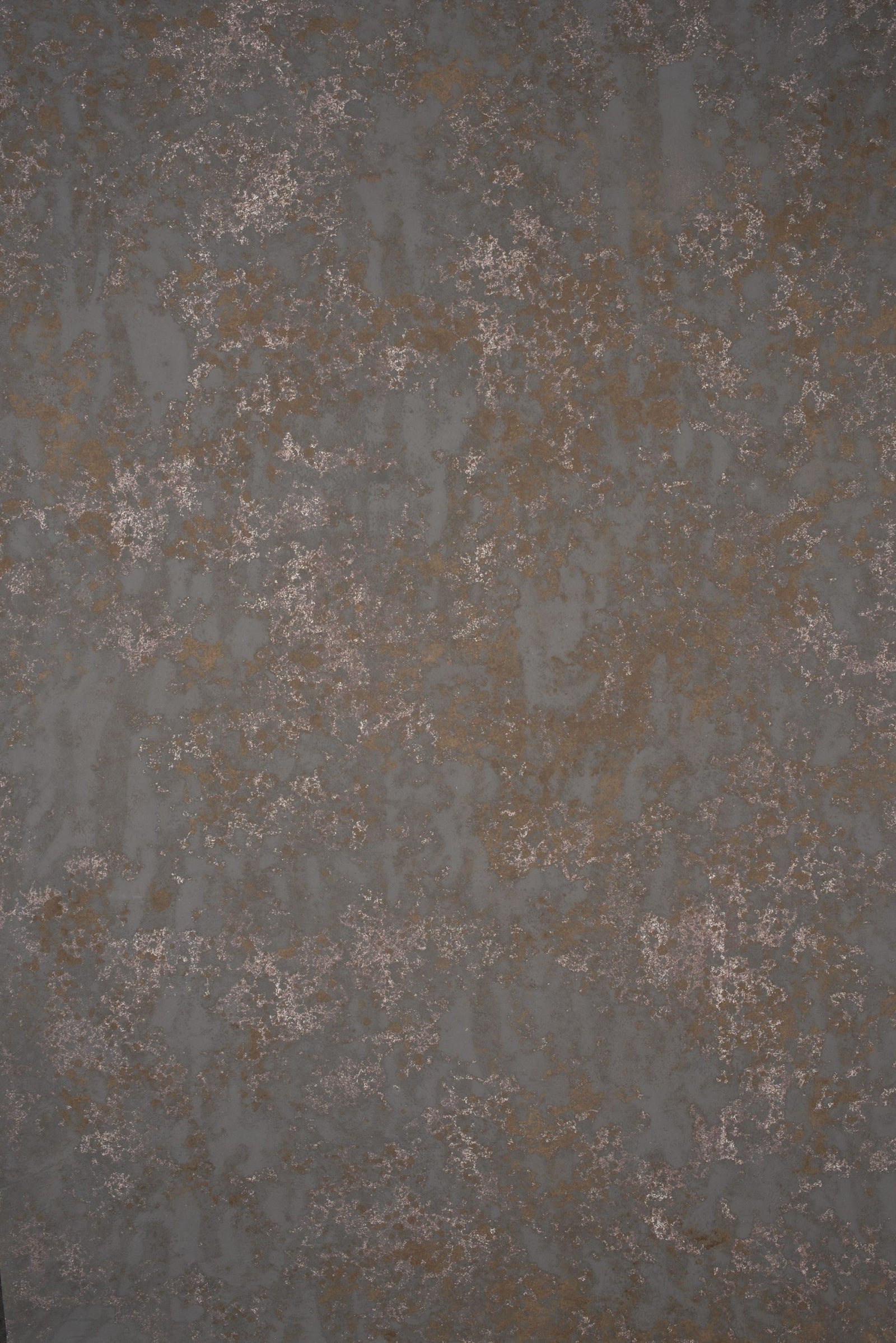 13901 Warm Grey Strong Text ST