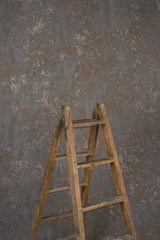 13901 Warm Grey Strong Text ST