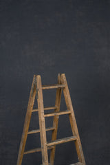 13905 Cold Grey Mid Text ST