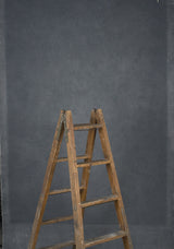13907 Cold Grey Distressed Text ST