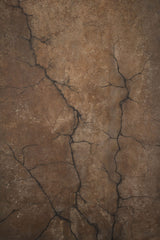 13926 Brown Beige Strong Text ST