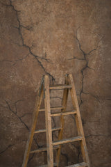 13926 Brown Beige Strong Text ST