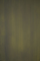 13938 Green Mid Text ST