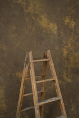 13939 Ochre Strong Text ST