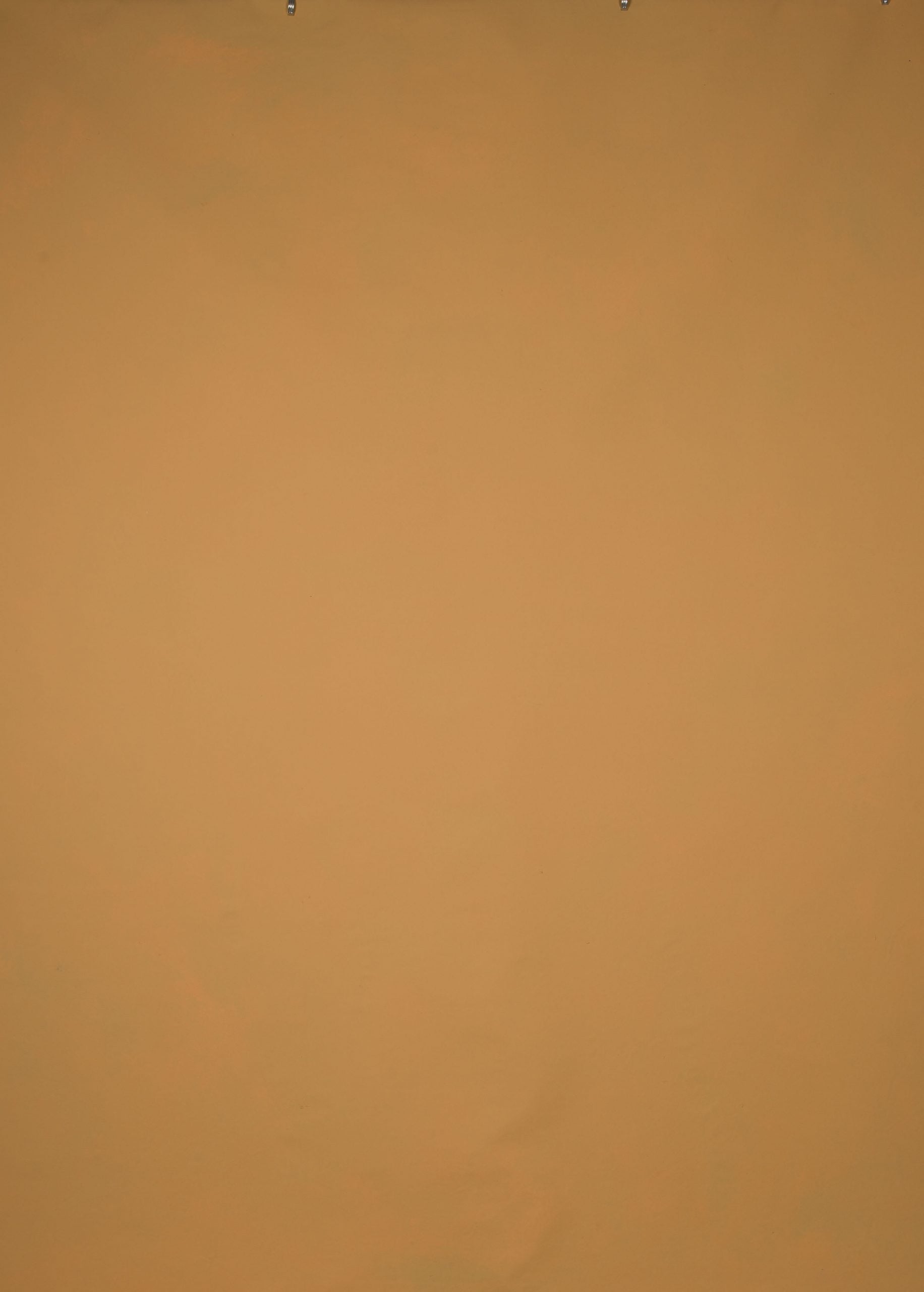 14039 Ochre Low Text L