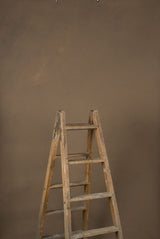 14118 Beige Low Text ST