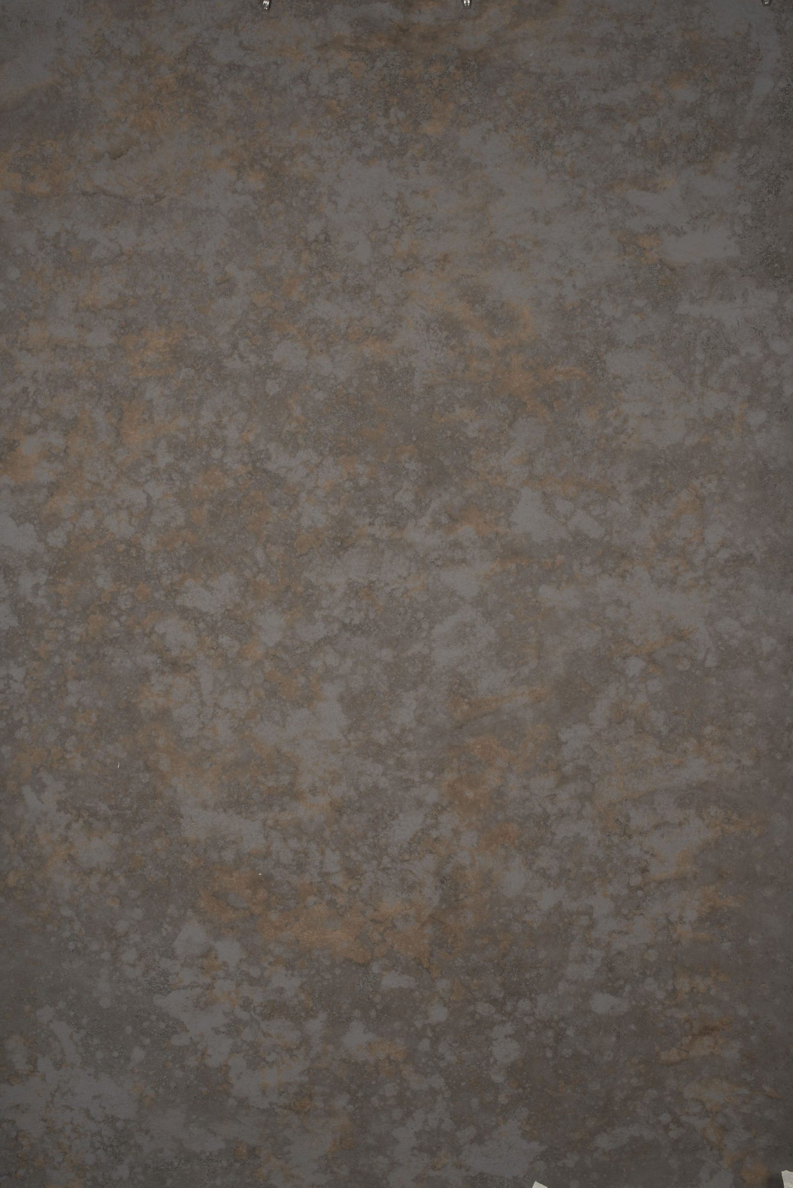 14126 Warm Grey Strong Text ST