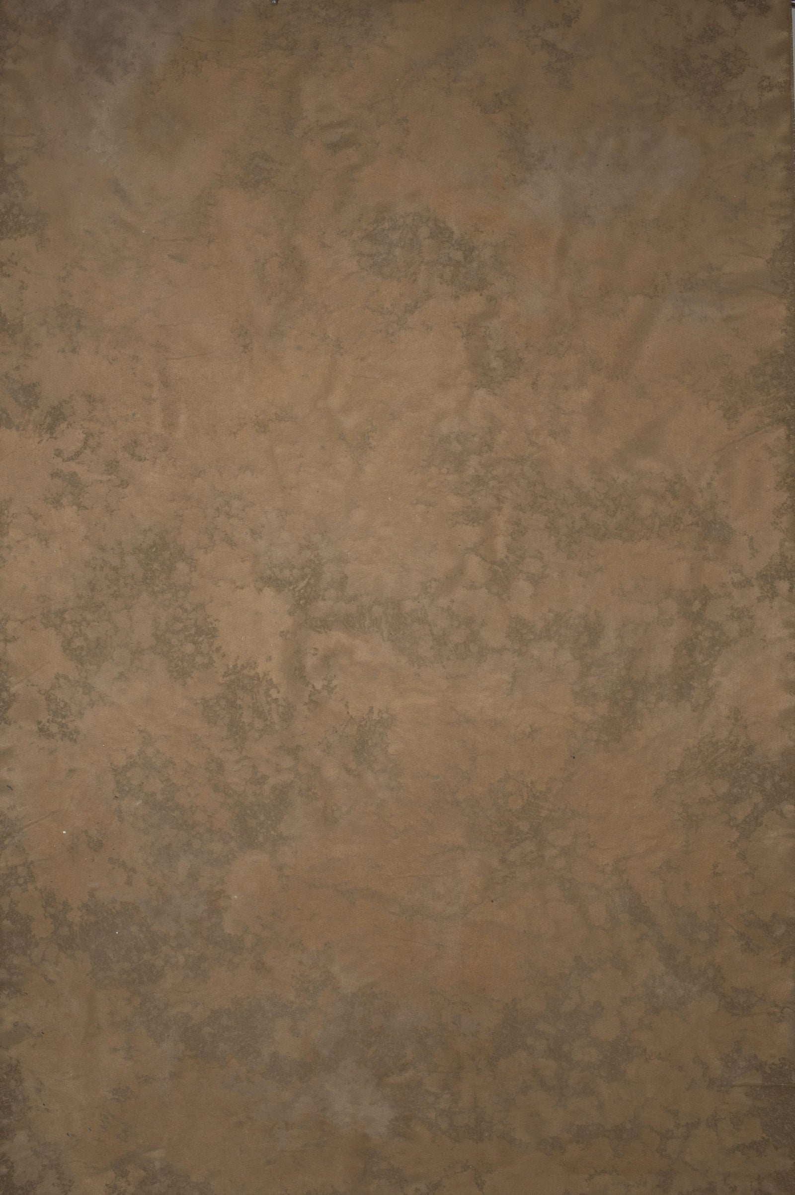 14129 Beige Strong Text ST