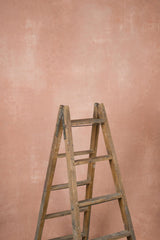 14142 Rose Beige Mid Text ST