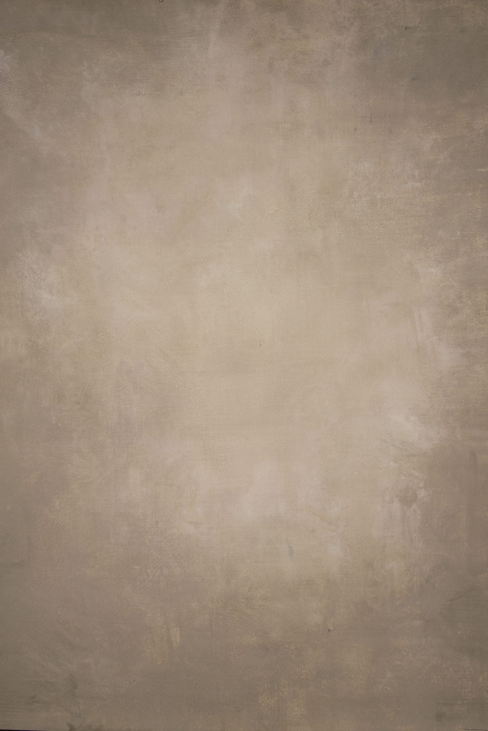 14186 Beige Distressed Text M