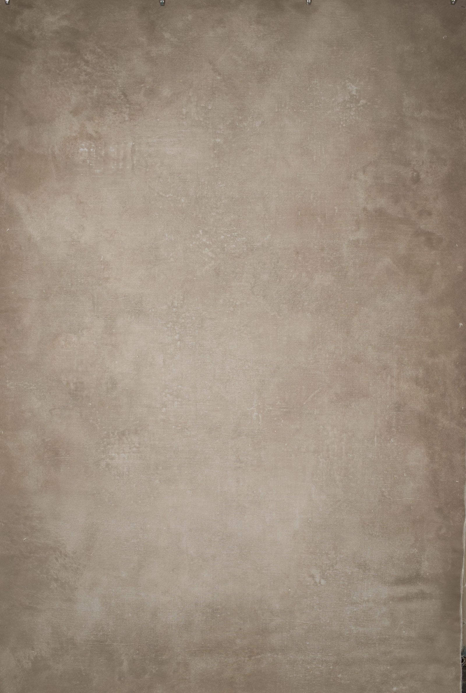14196 Beige Distressed Text ST