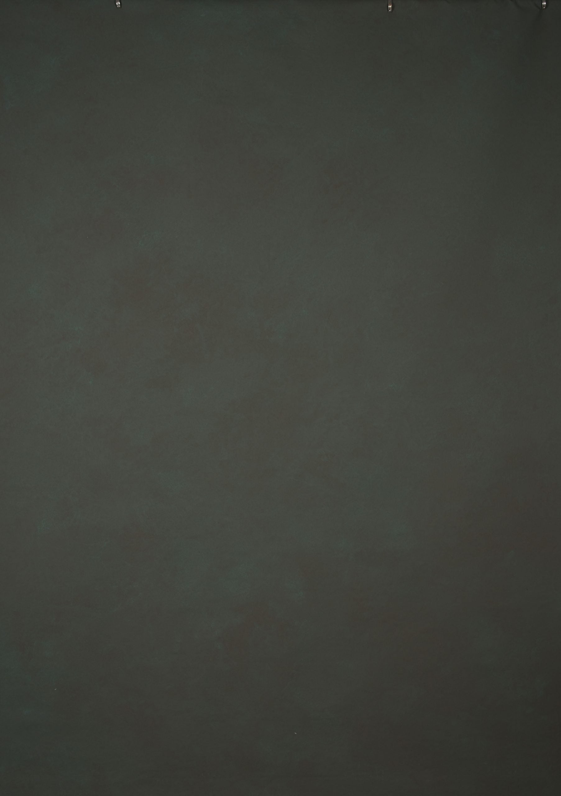 14317 Dark Tirquize Low Text L