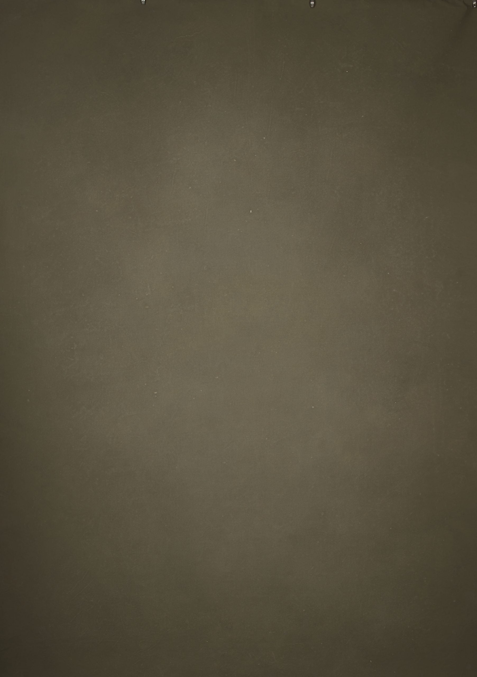 14334 Olive Green Distressed Text M