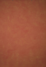 14348 Red Ochre Mid Text M