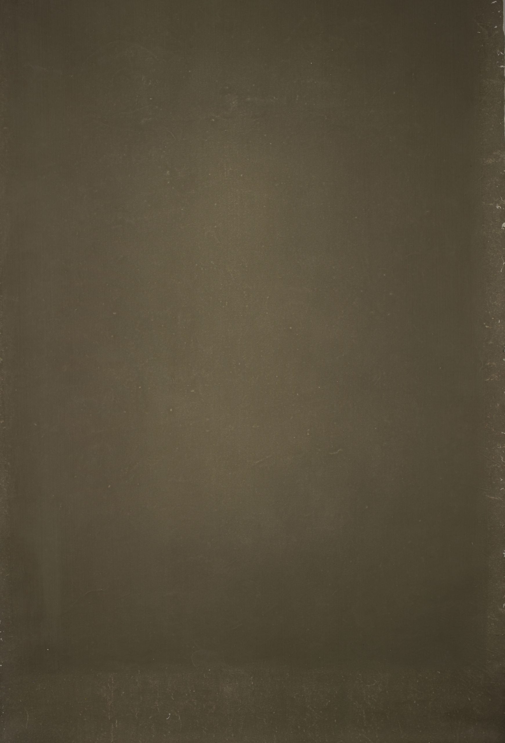 14360 Olive Green Distressed Text ST