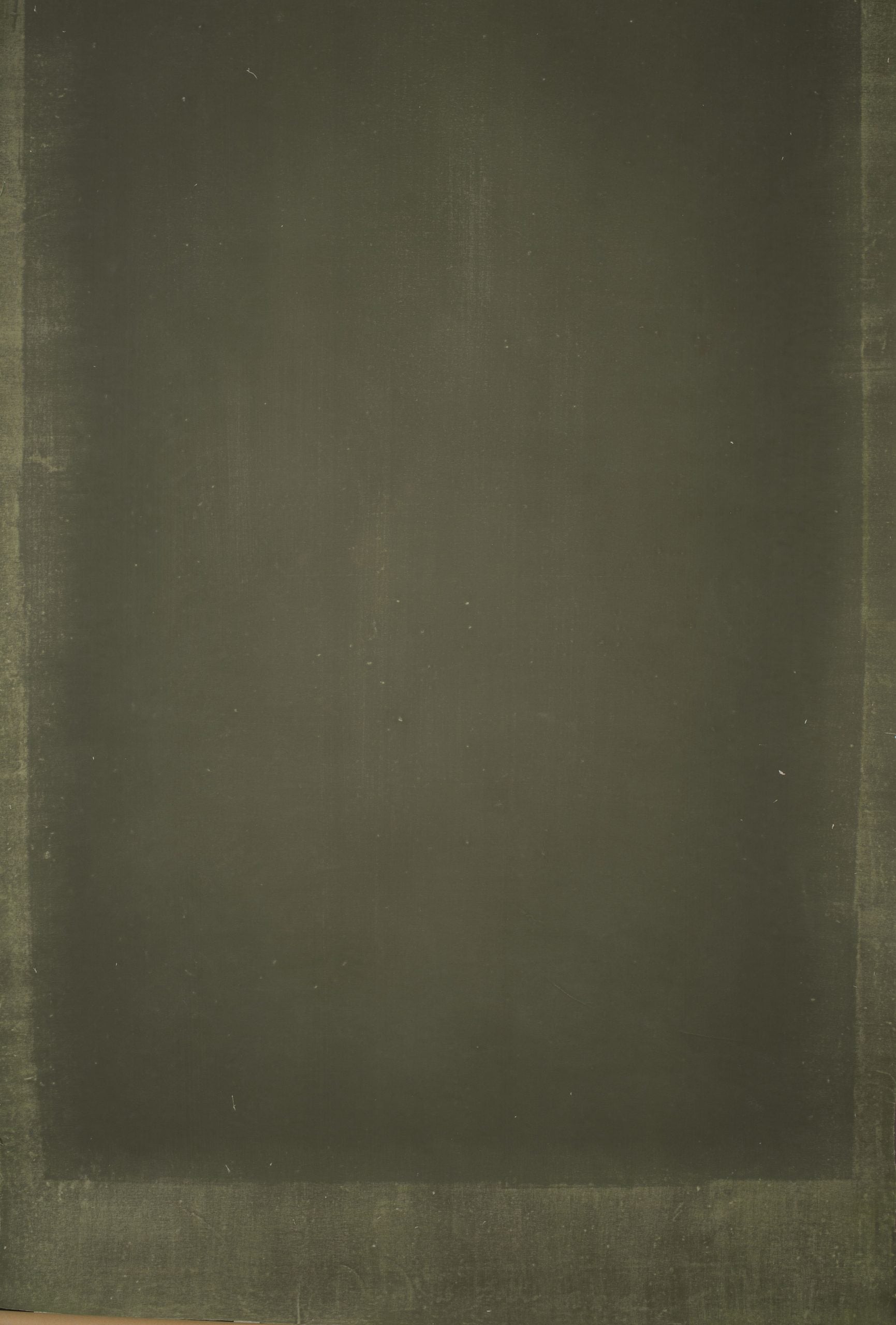 14362 Green Distressed Text ST
