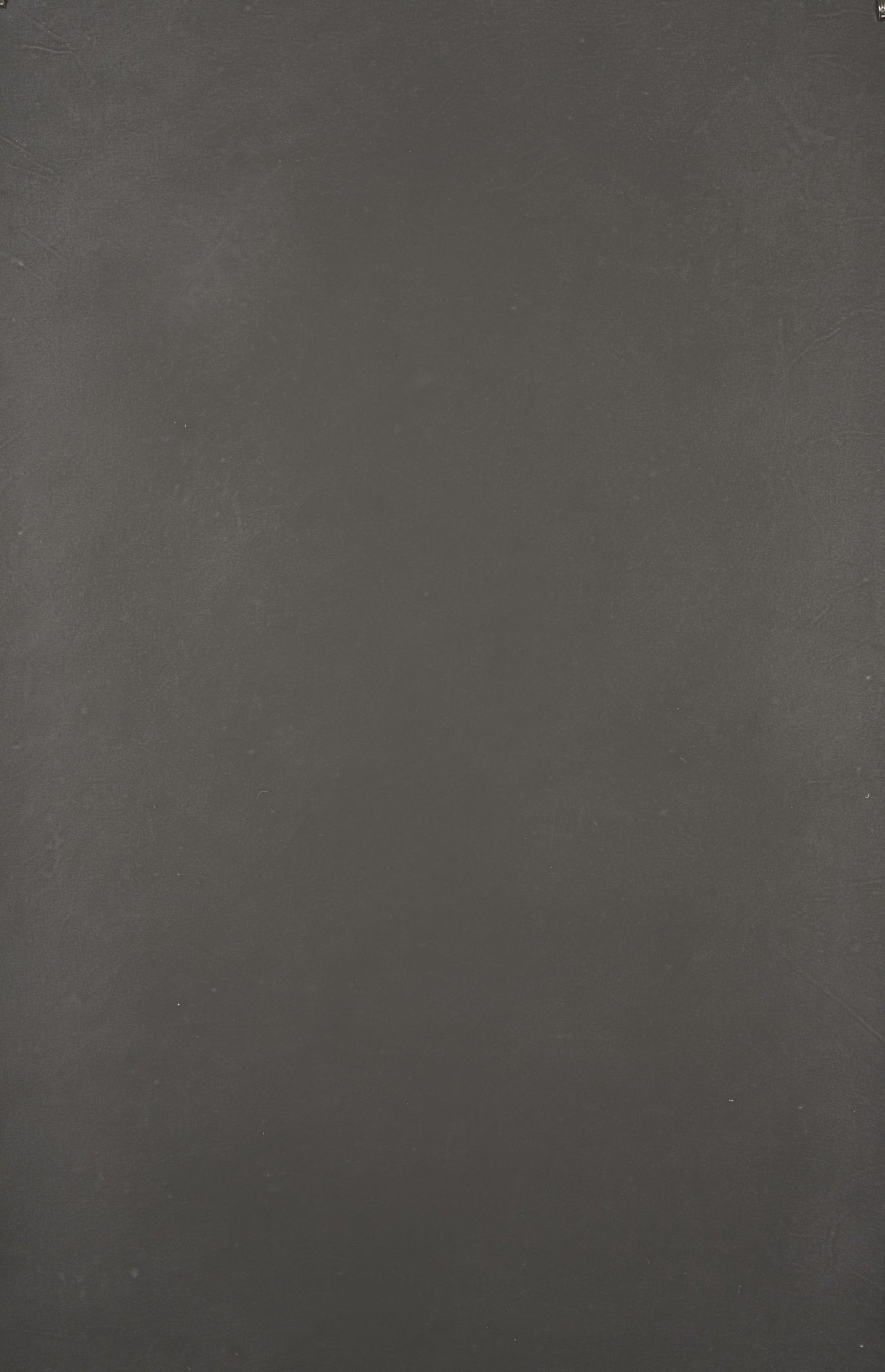 14373 Grey Distressed Text XS