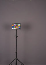 14406 Violet Low Text M