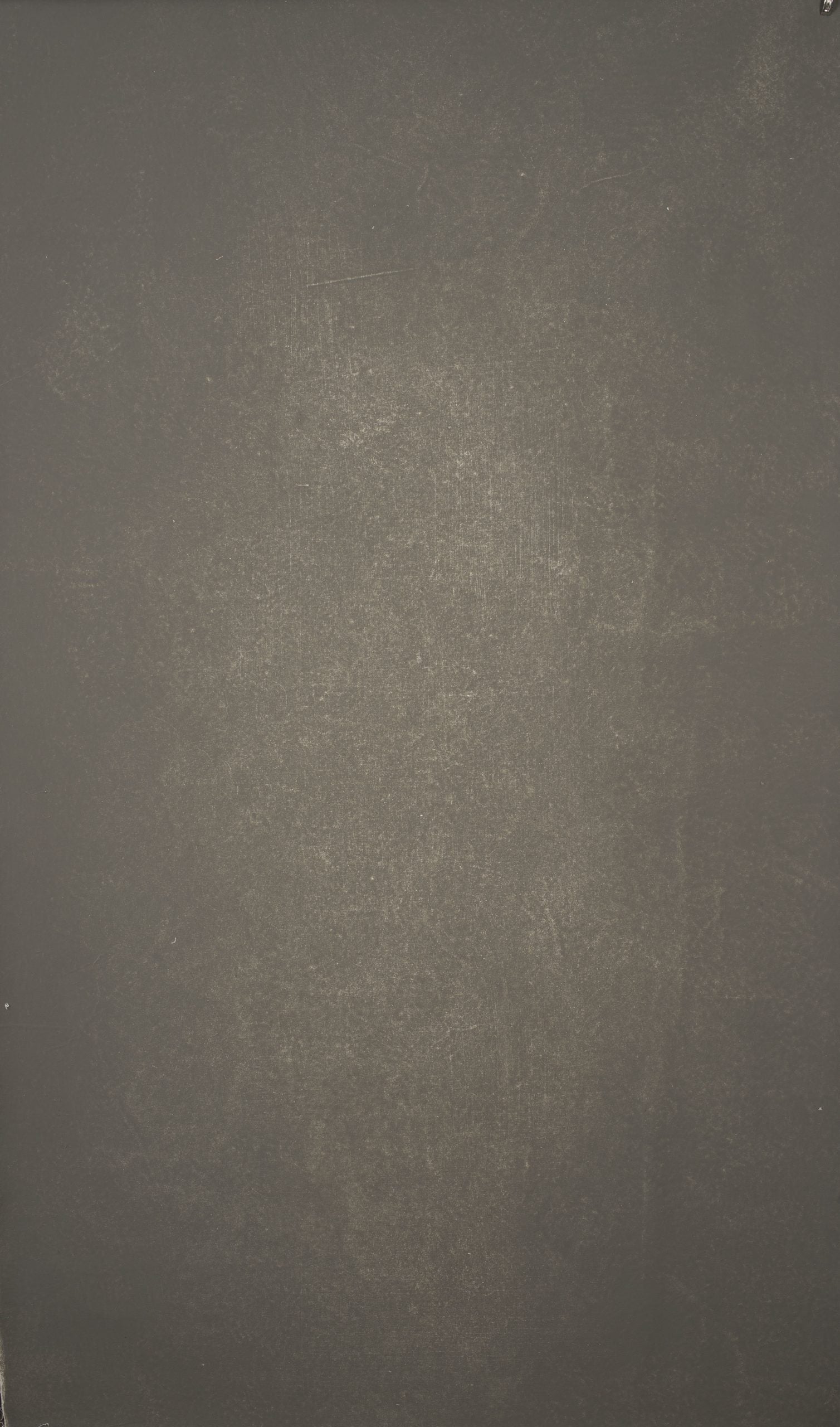 14411 Warm Grey Distressed Text XS