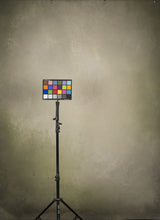 Green Beige Backdrop Mid Text M 14440