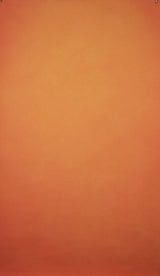14481 Orange Low Text XS