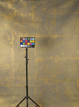 14494 Gold Mid Text L