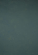 14503 Tirquize Green Low Text L