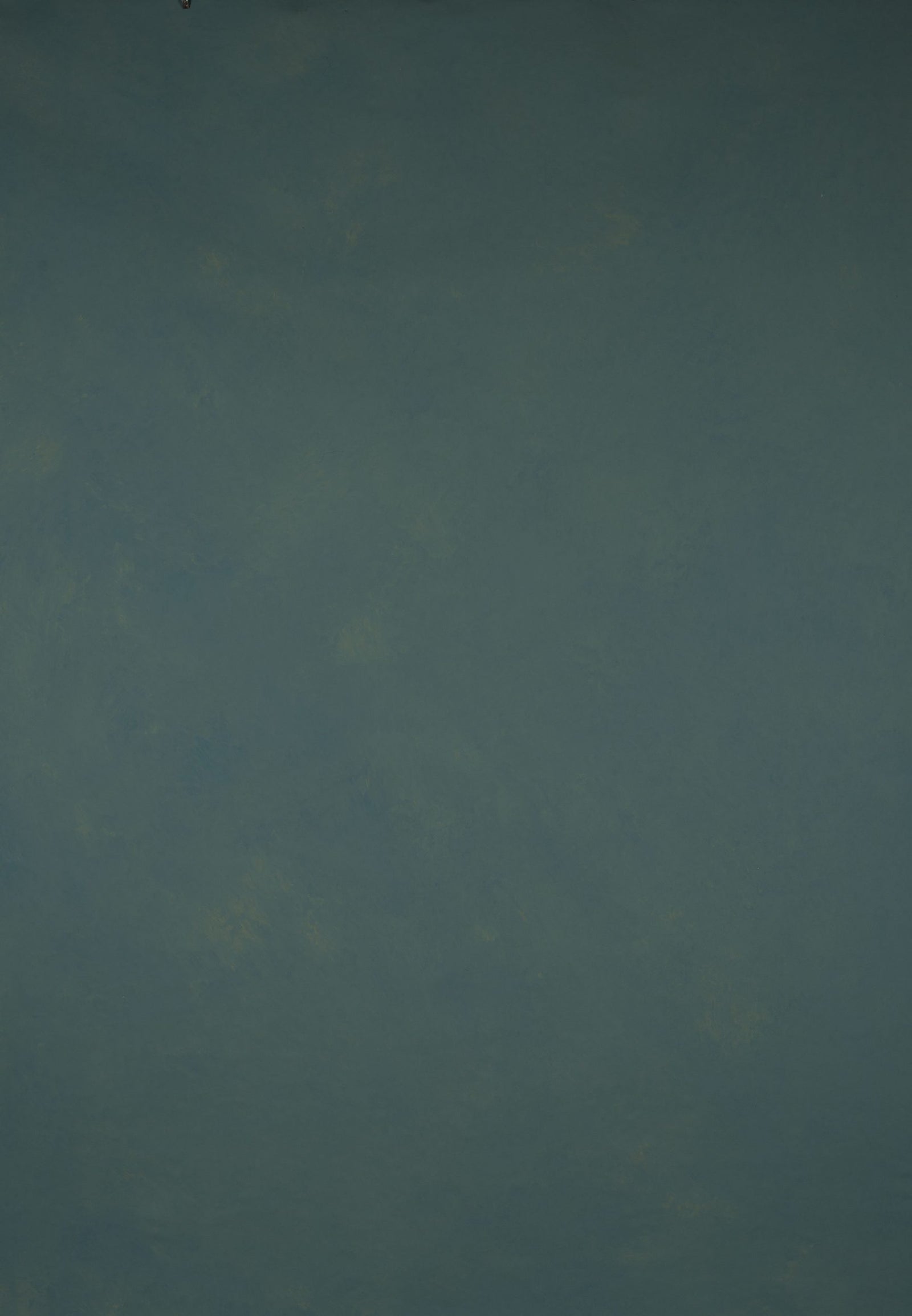 14503 Tirquize Green Low Text L