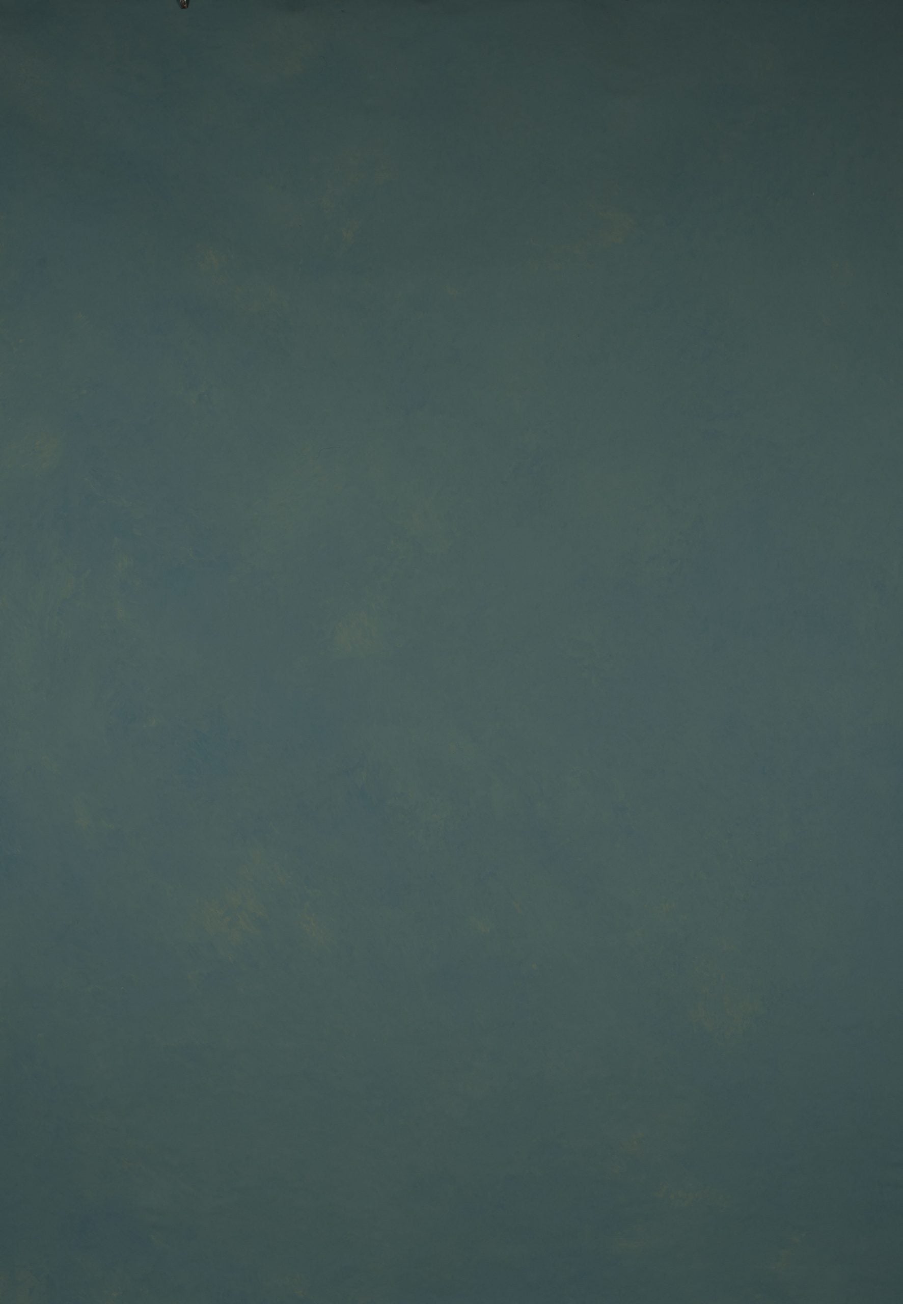 14503 Tirquize Green Low Text L