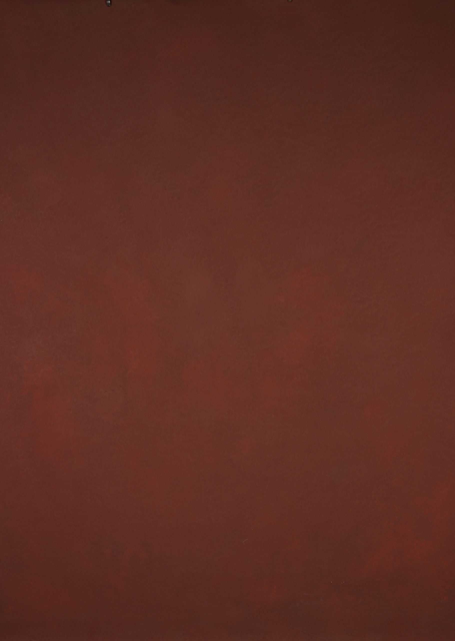 14504 Red Low Text L
