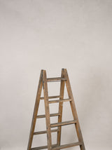 14508 Light Beige Low Text L
