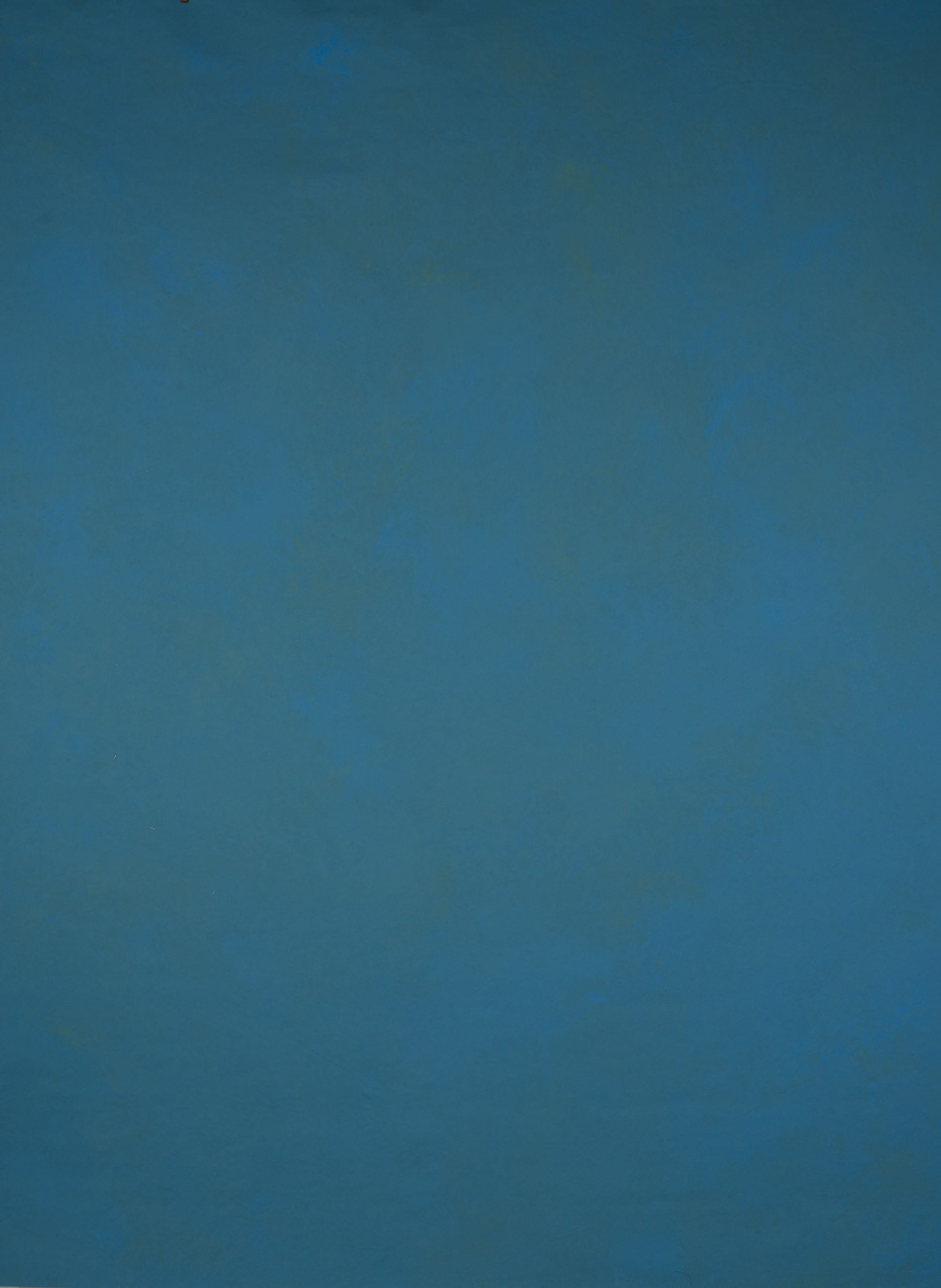 14514 Blue Mid Text L