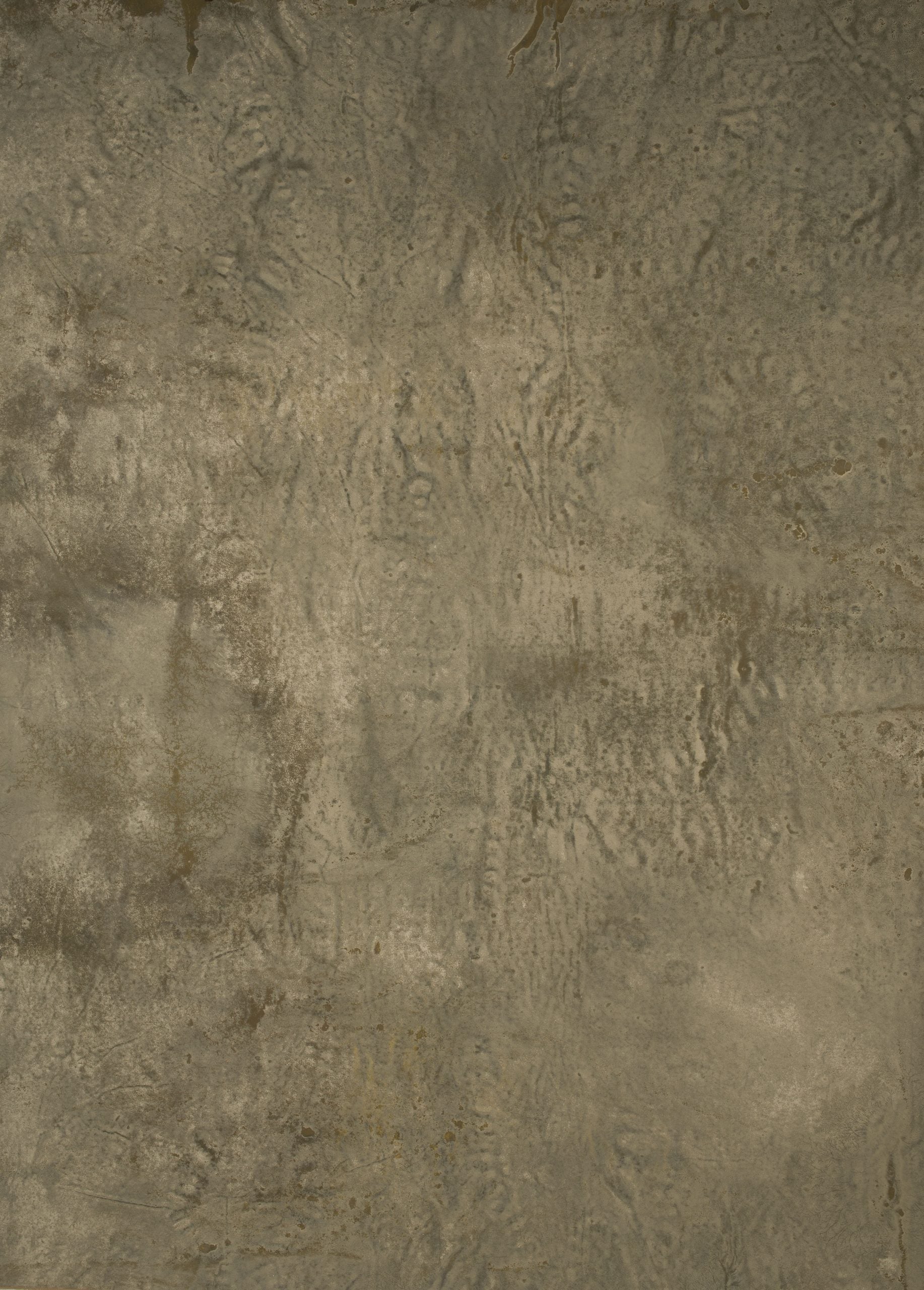 14517 Beige Strong Text L