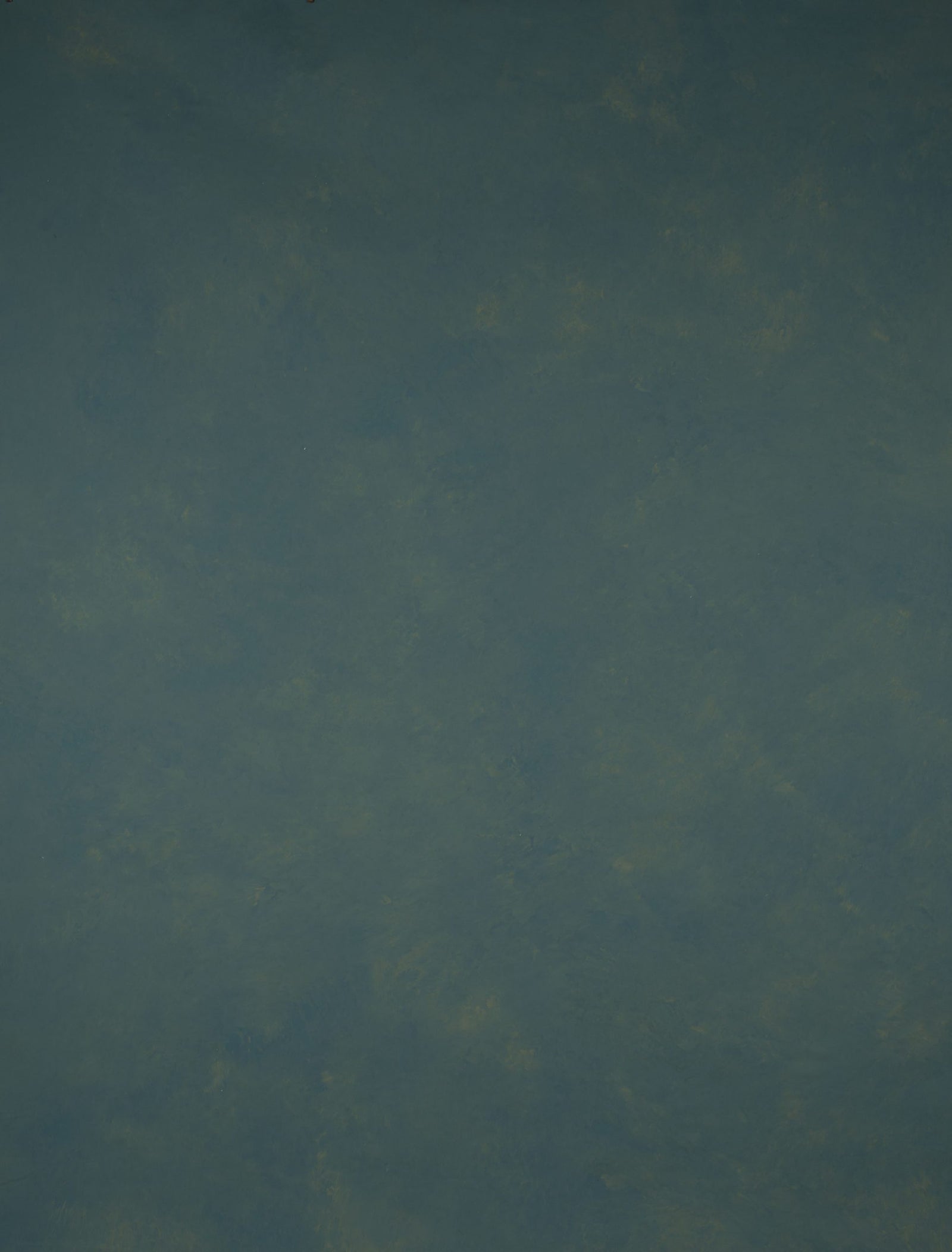 14520 Green Tirquize Mid Text L