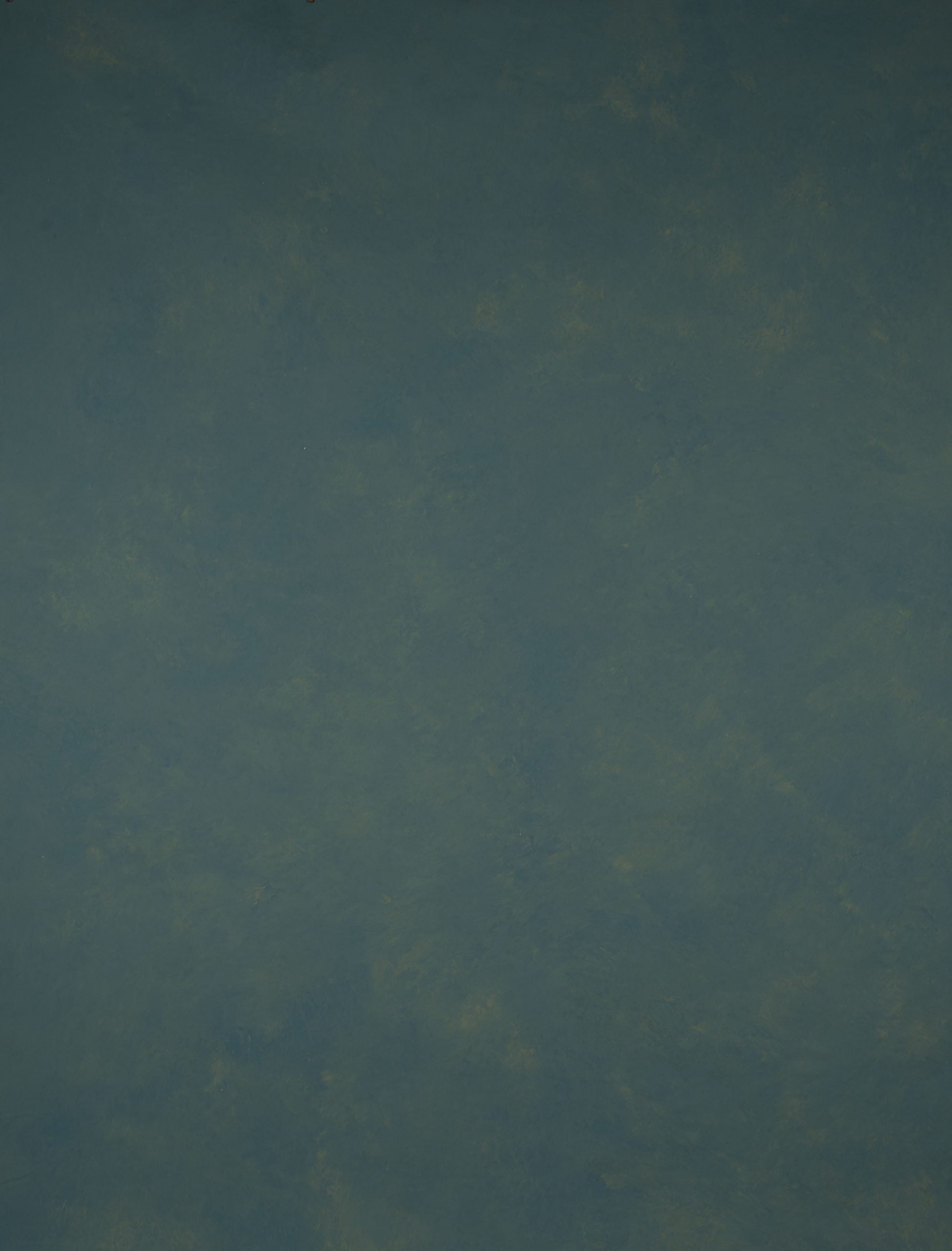 14520 Green Tirquize Mid Text L