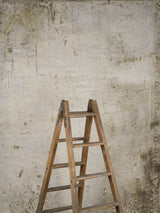 14544 Beige Strong Text M