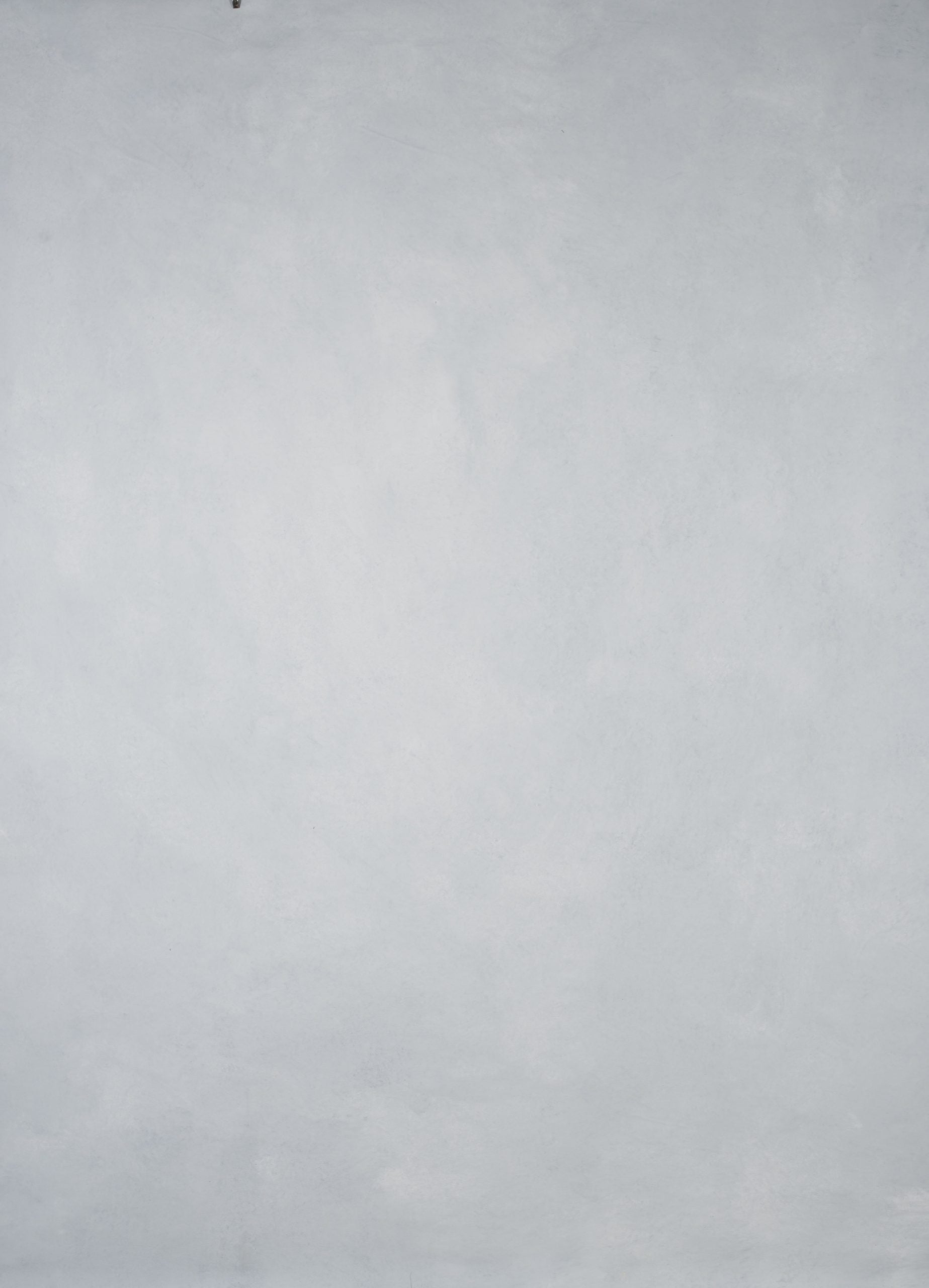 14557 Light Cold Grey Low Text M