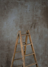 14559 Cold Grey Brown Strong Text M