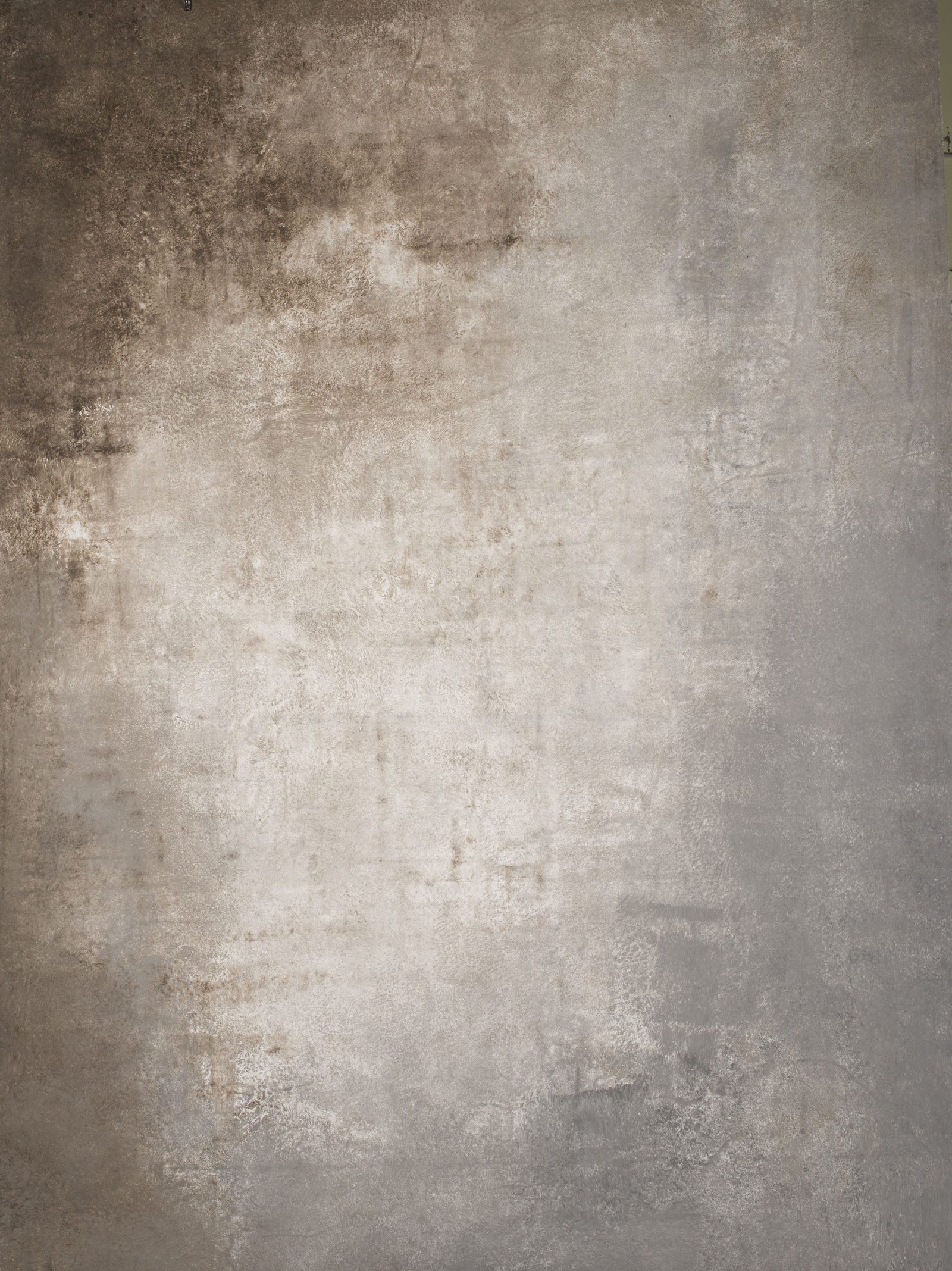14561 Warm Grey Strong Text M