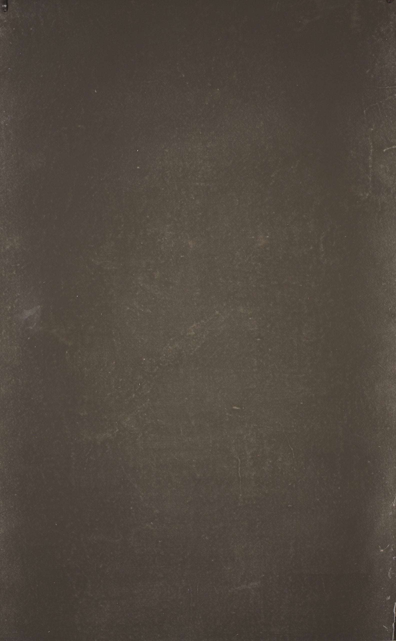 14599 Warm Grey Distressed Text XS