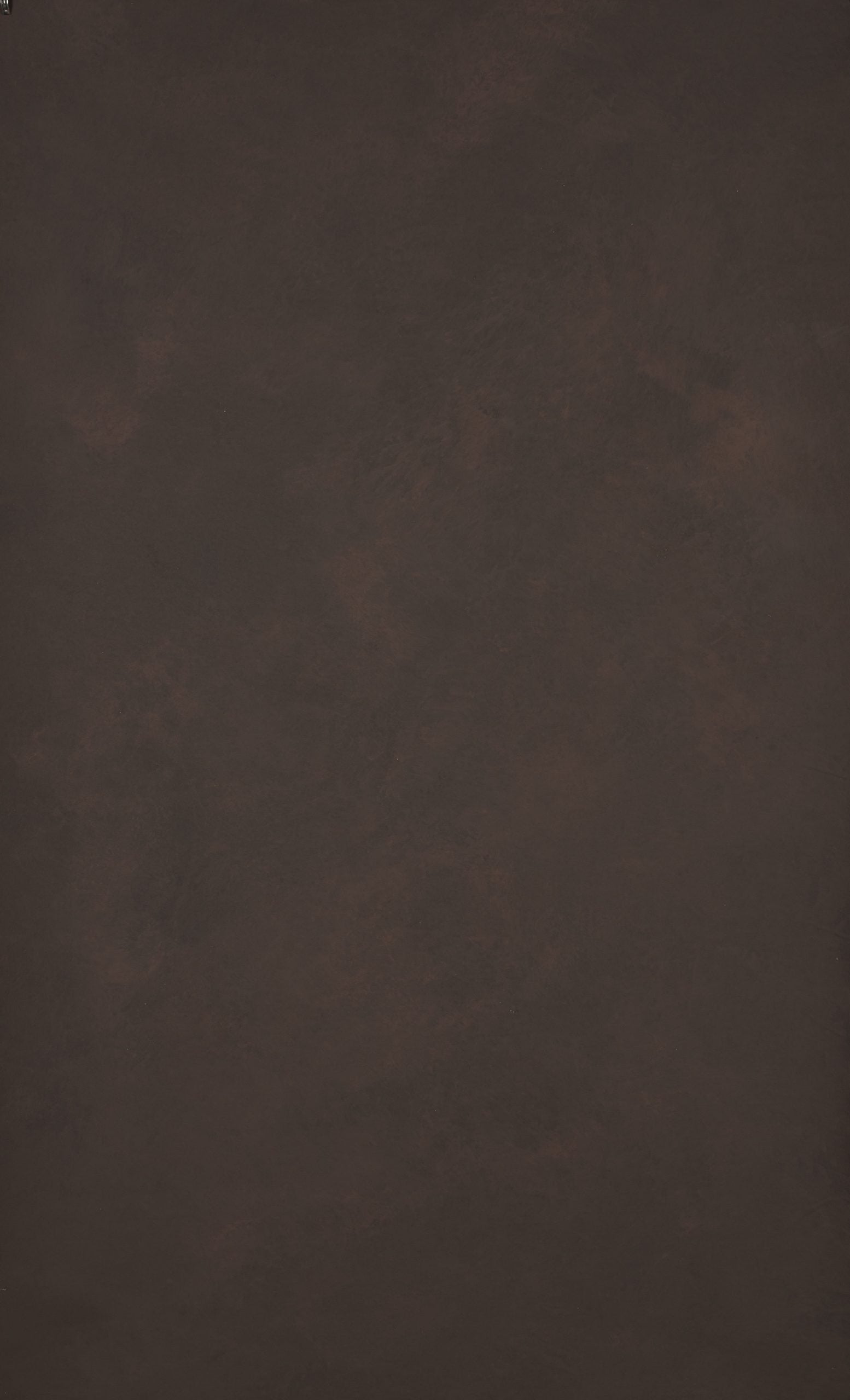 14606 Brown Low Text XS