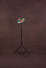 1461 Purple Mid Text XXL Size Hand Painted Backdrops