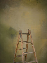 14611 Green Ochre Mid Text L