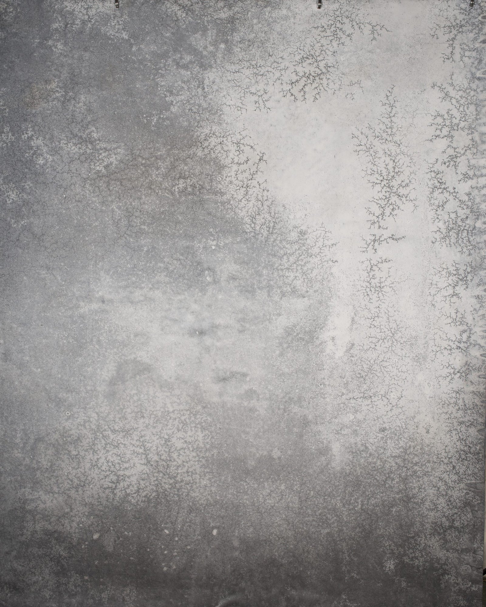 14629 Grey Strong Text L