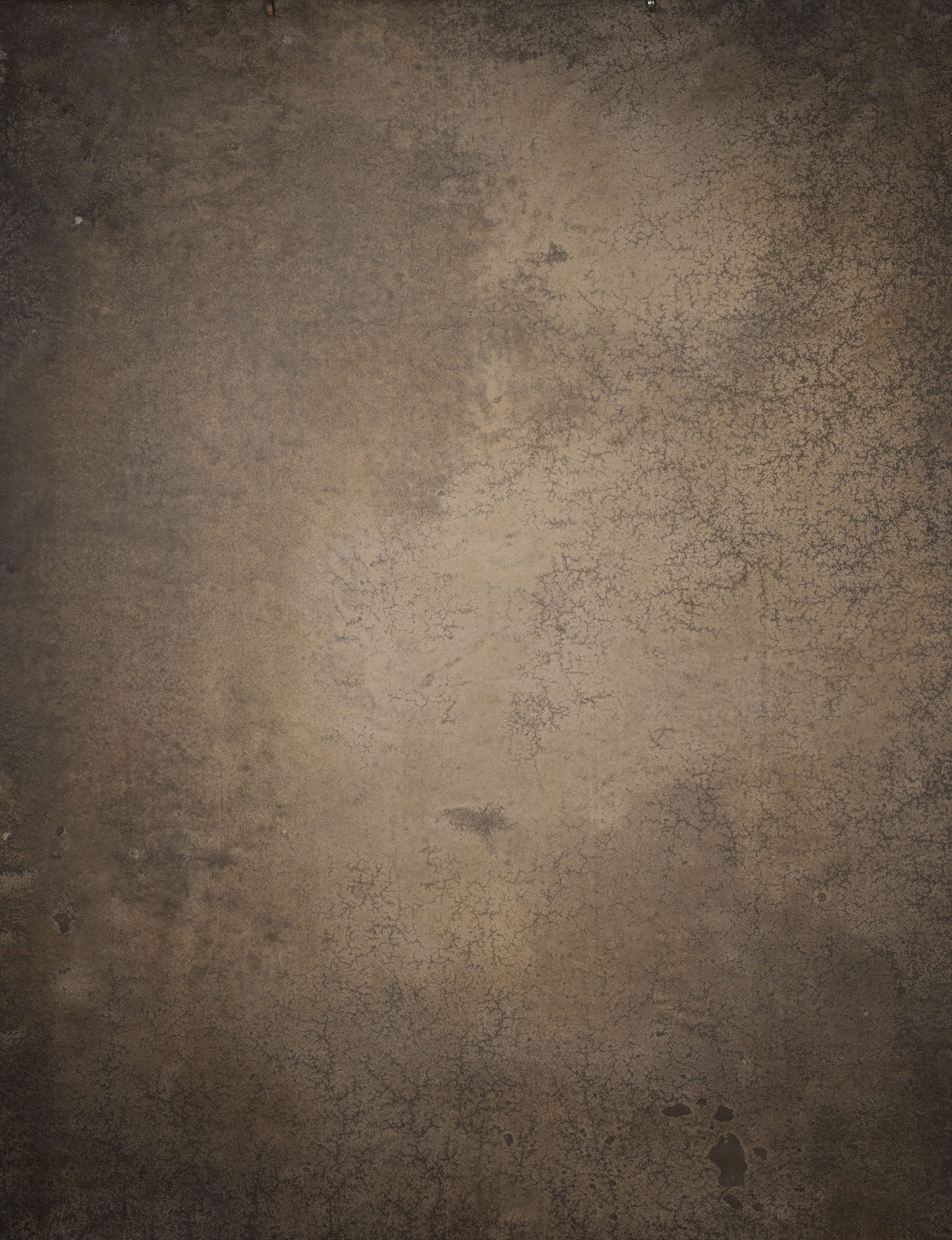 14633 Warm Grey Brown Strong Text L